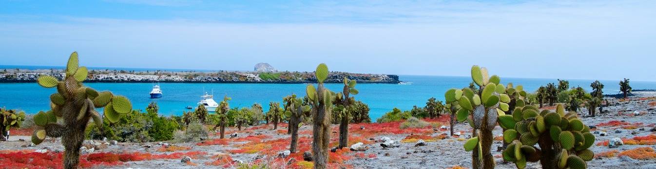 Galapagos Islands