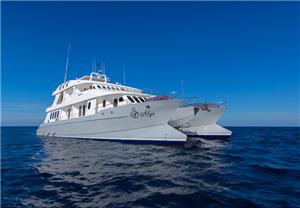 Alya Luxury Catamaran