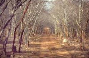 Ranthambore National Park, Ranthambore