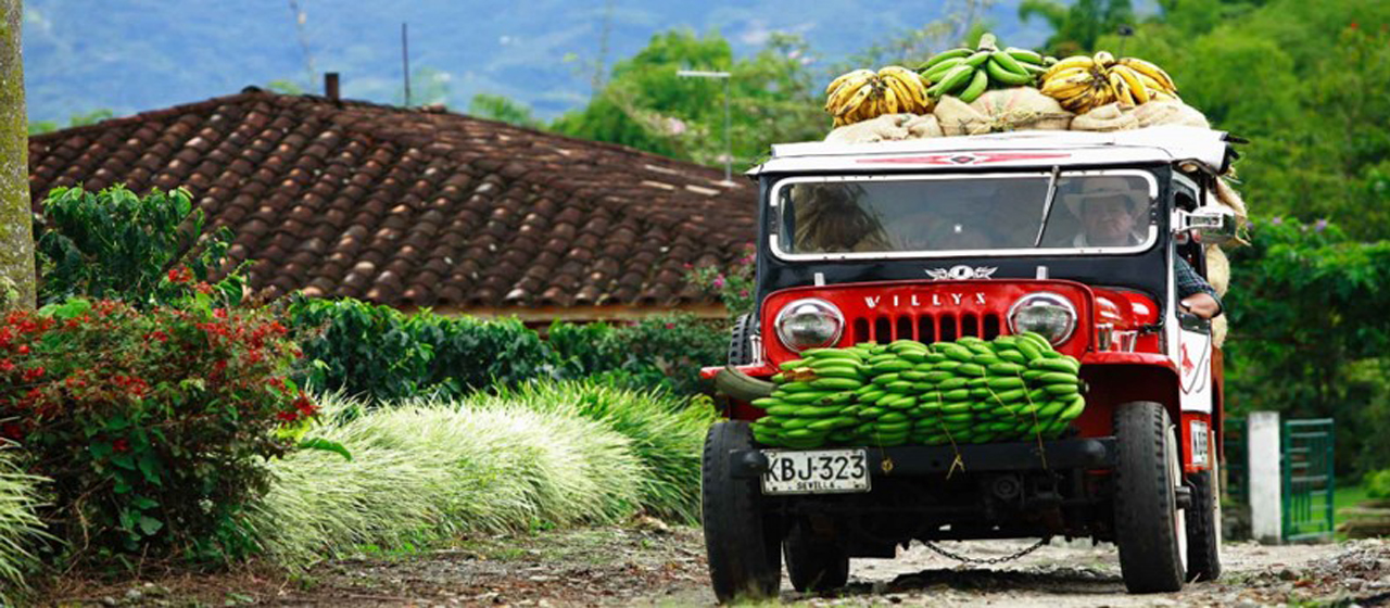 Book Now and receive 50% off companion fare