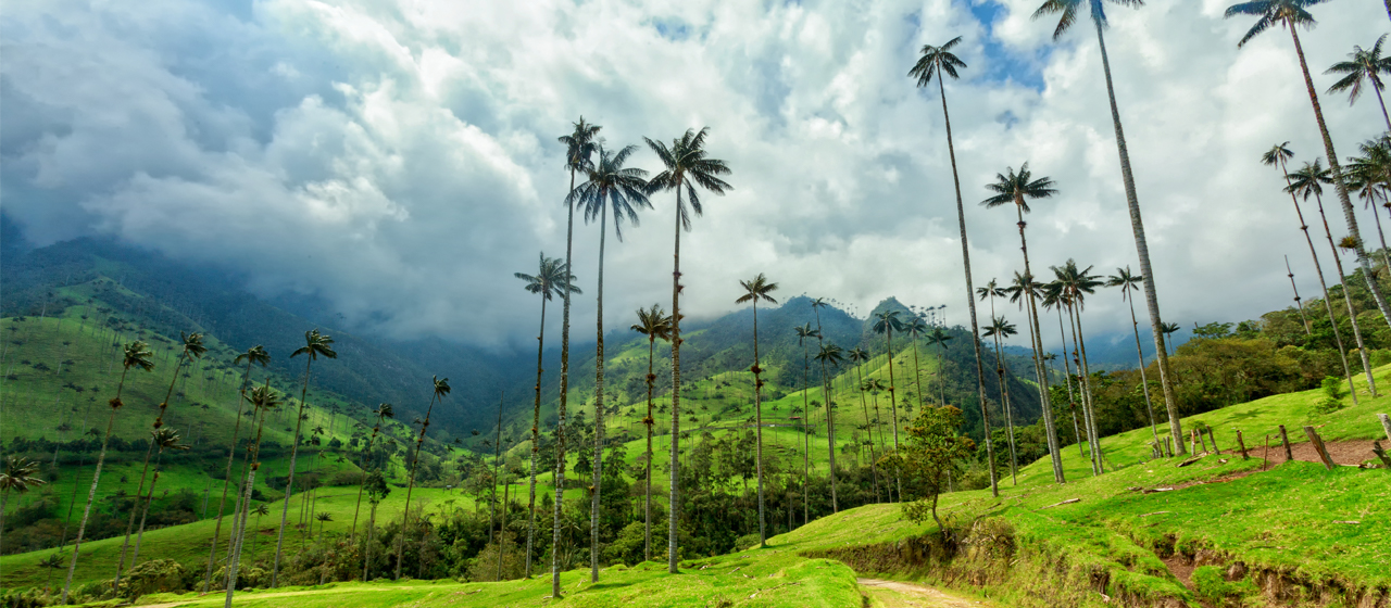 Book Now and receive 50% off companion fare