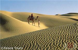 Sam sand dunes, Jaisalmer