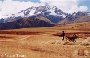 A view of the Sacred Valley 