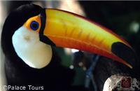 Iguaçu Waterfalls National Park, Foz do Iguaçu