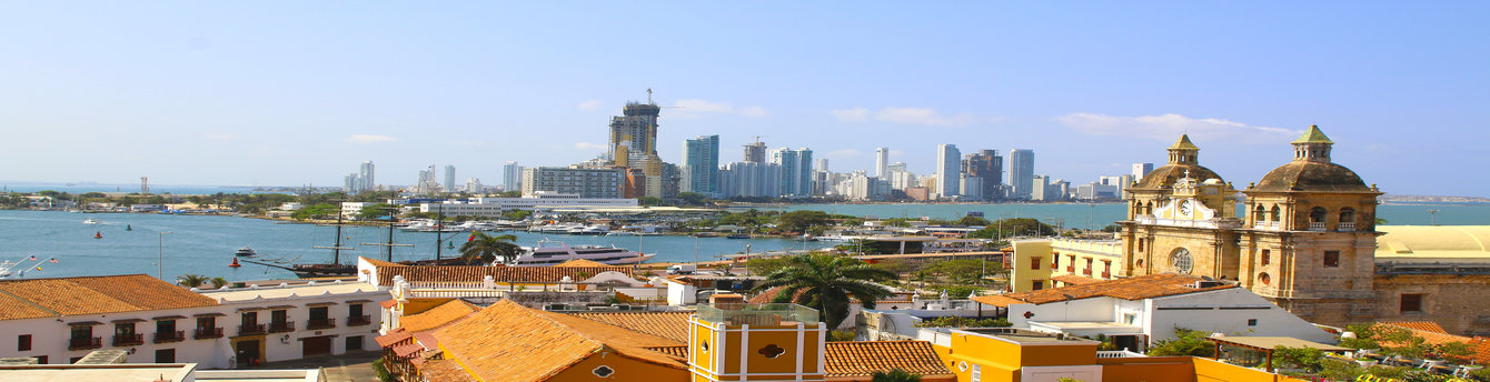 Book Now and receive 50% off companion fare