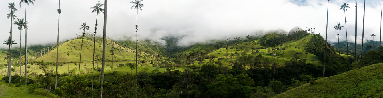 Book Now and receive 50% companion fare